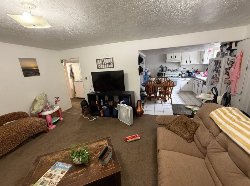 Before Basement Living Transformation